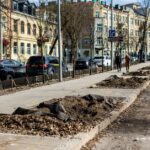 Keistas elgesys su medžiais Vilniuje: pasodino, o po metų iškasė – po jais ties komunikacijas