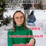 Gvarkaumfestalt