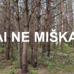 Pušynas su užrašu Tai ne miškas tarp Karoliniškių ir Pilaitės