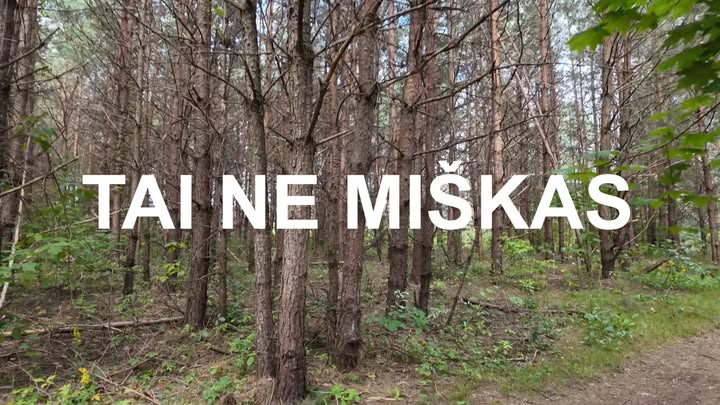 TAI NE MISKAS