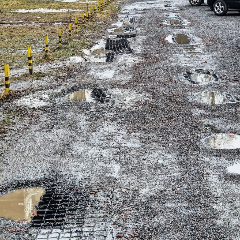 Susipažinkite, koriai, 3 metukai