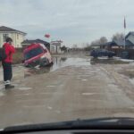 Pilaitė / Vorupės g