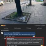 12 comments