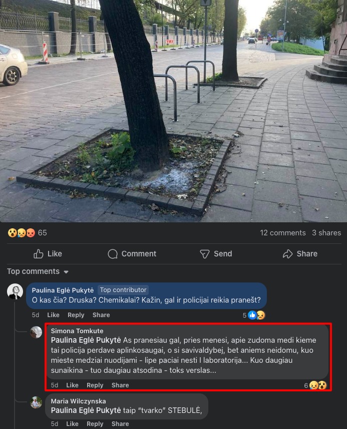 12 comments