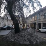 Sniego ir purvo mišinys sustumtas nuo gatvės savyje turi labai daug druskos