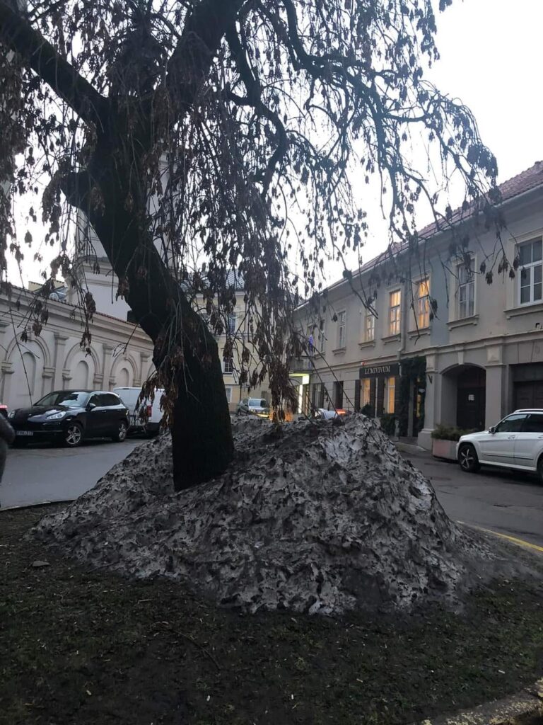 Sniego ir purvo mišinys sustumtas nuo gatvės savyje turi labai daug druskos