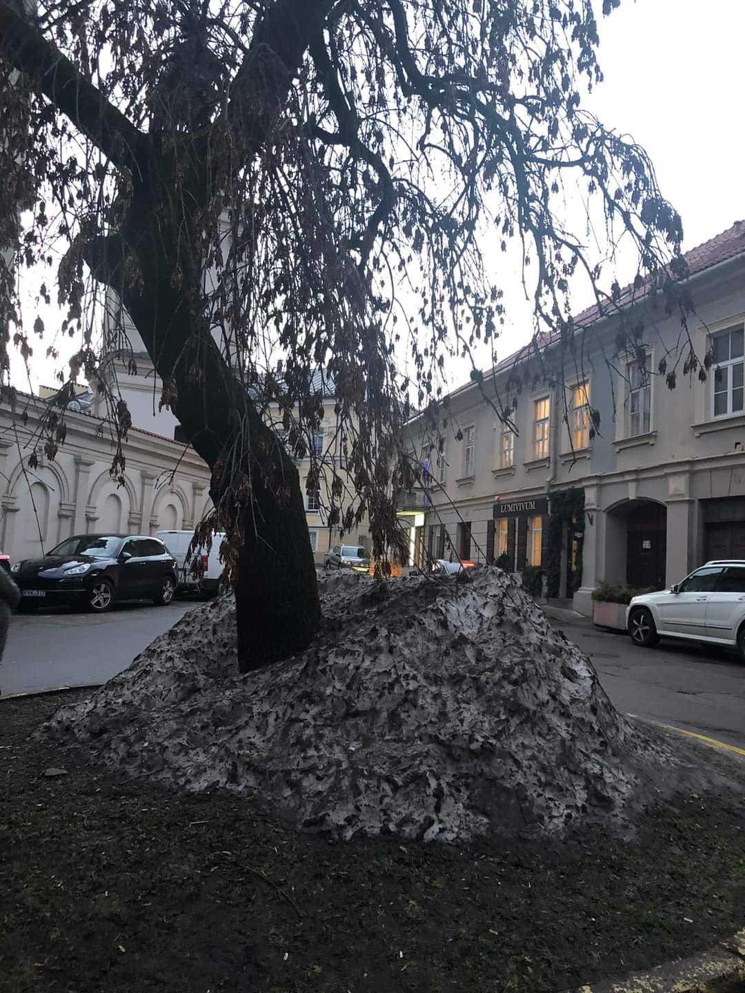 Sniego ir purvo mišinys sustumtas nuo gatvės savyje turi labai daug druskos
