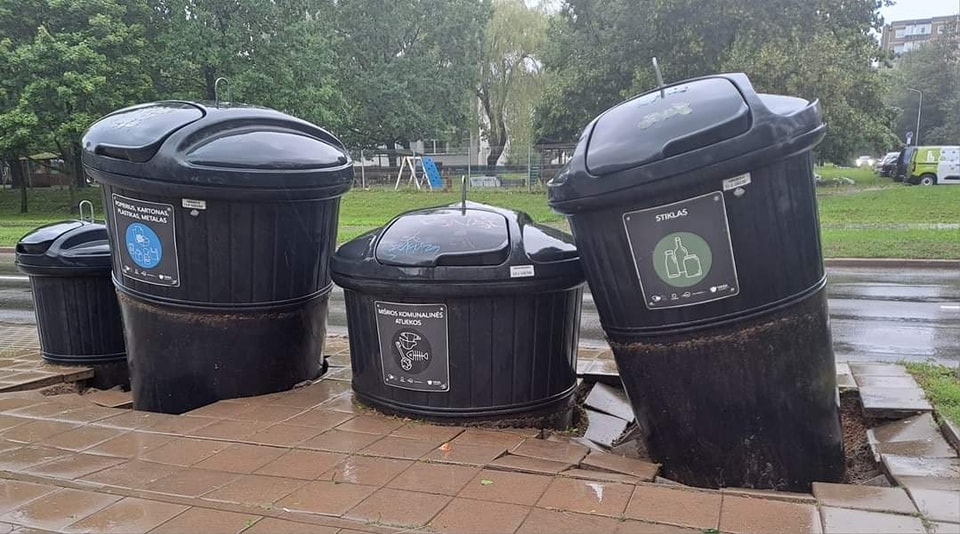 Po lietaus ne tik grybai auga