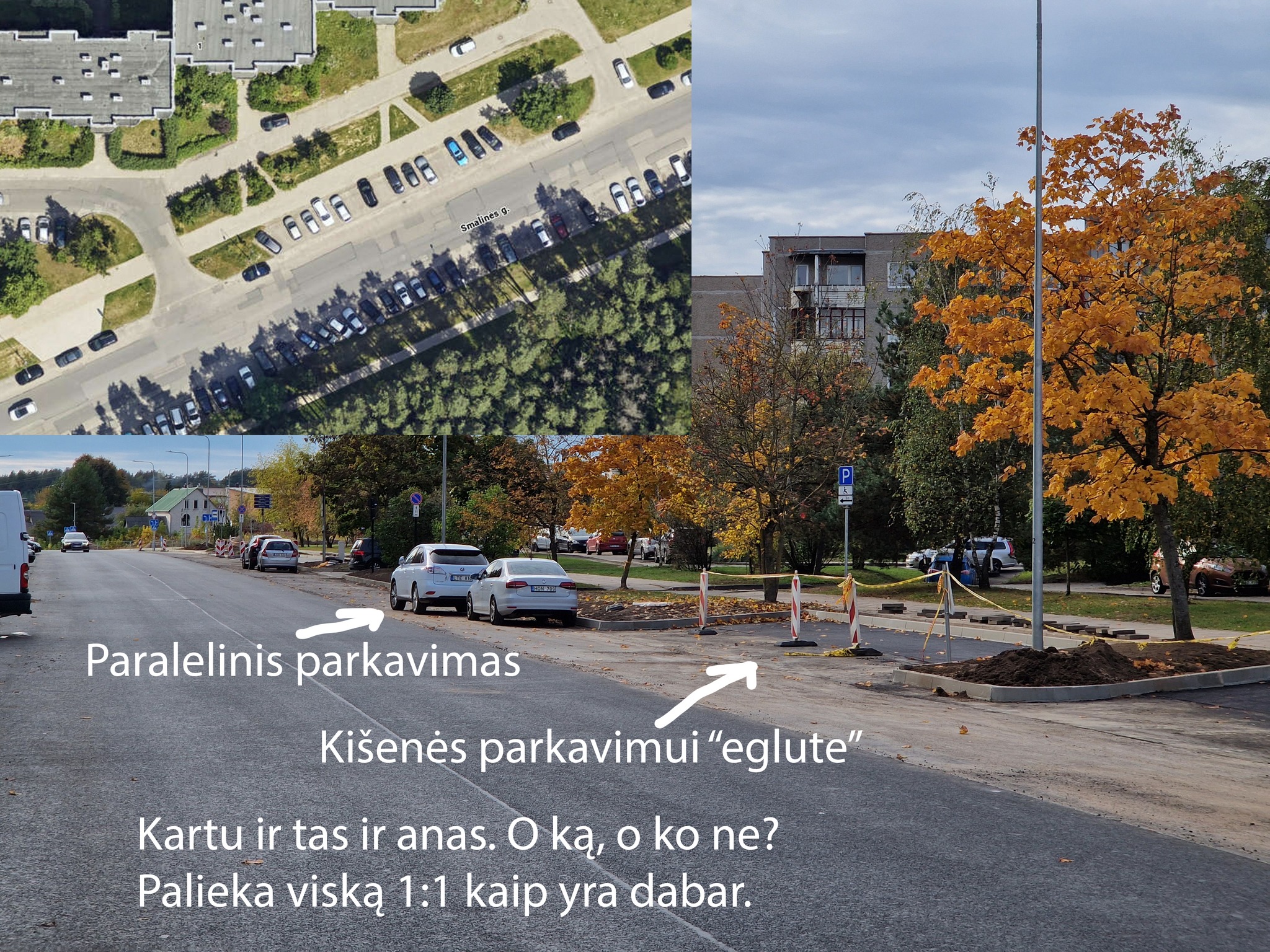 Kišenės parkavimui eglute'