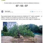 Subliuško pažadas pamokyti Vilniaus ąžuolo kirtėjus: