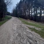 Kas galėjo pagalvoti