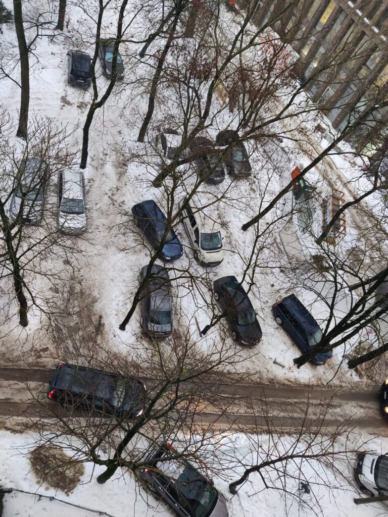 Pavasaris artėja, jau lenda snieguolės tarp medžių