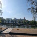 Vilniaus miesto savivaldybė toliau marina medžius ir plikina pakrantę