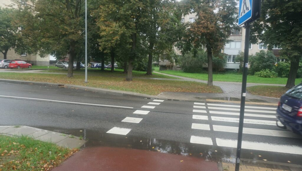 Bala prie pėsčiųjų perėjos