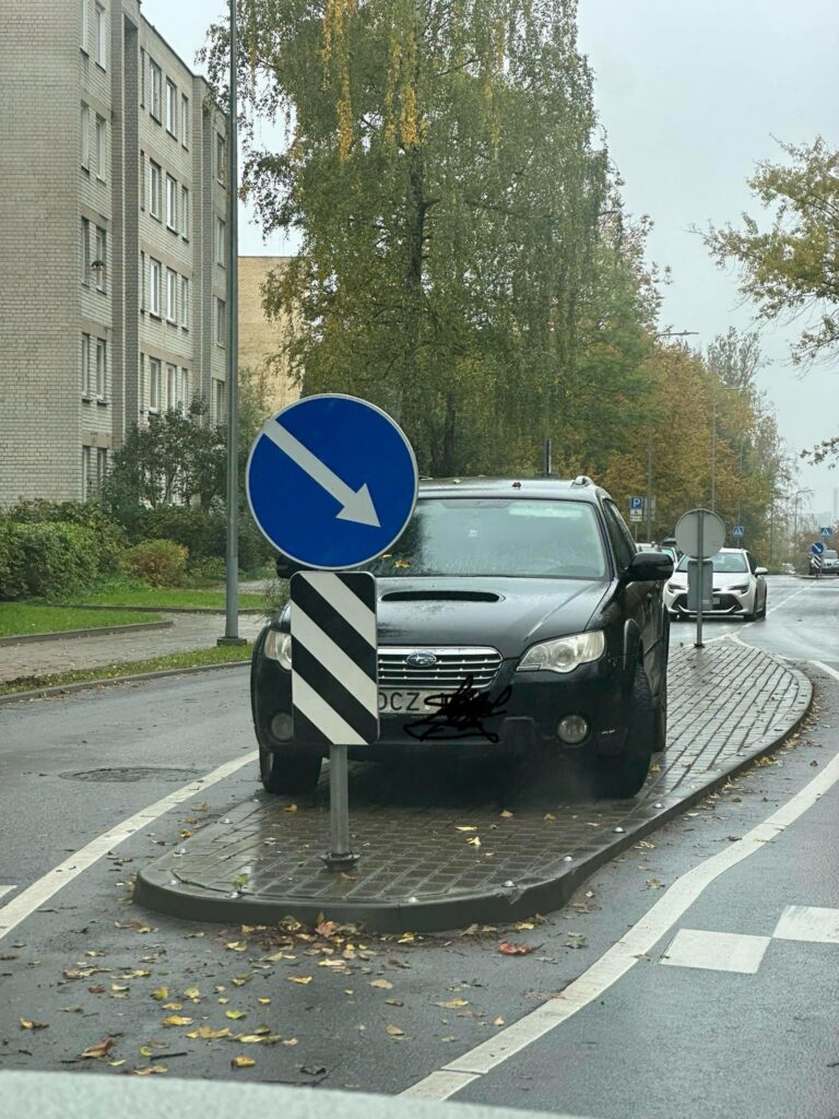 Parkavimas Naujininkuose