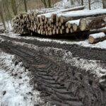 Antakalnyje kertami Pavilnių regioninio parko miškai