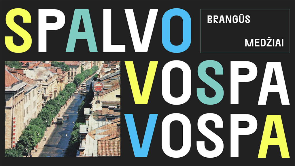 Spalvos. „Medžių naikinimas yra skonio reikalas“, – vilniečiai apie miesto permainas