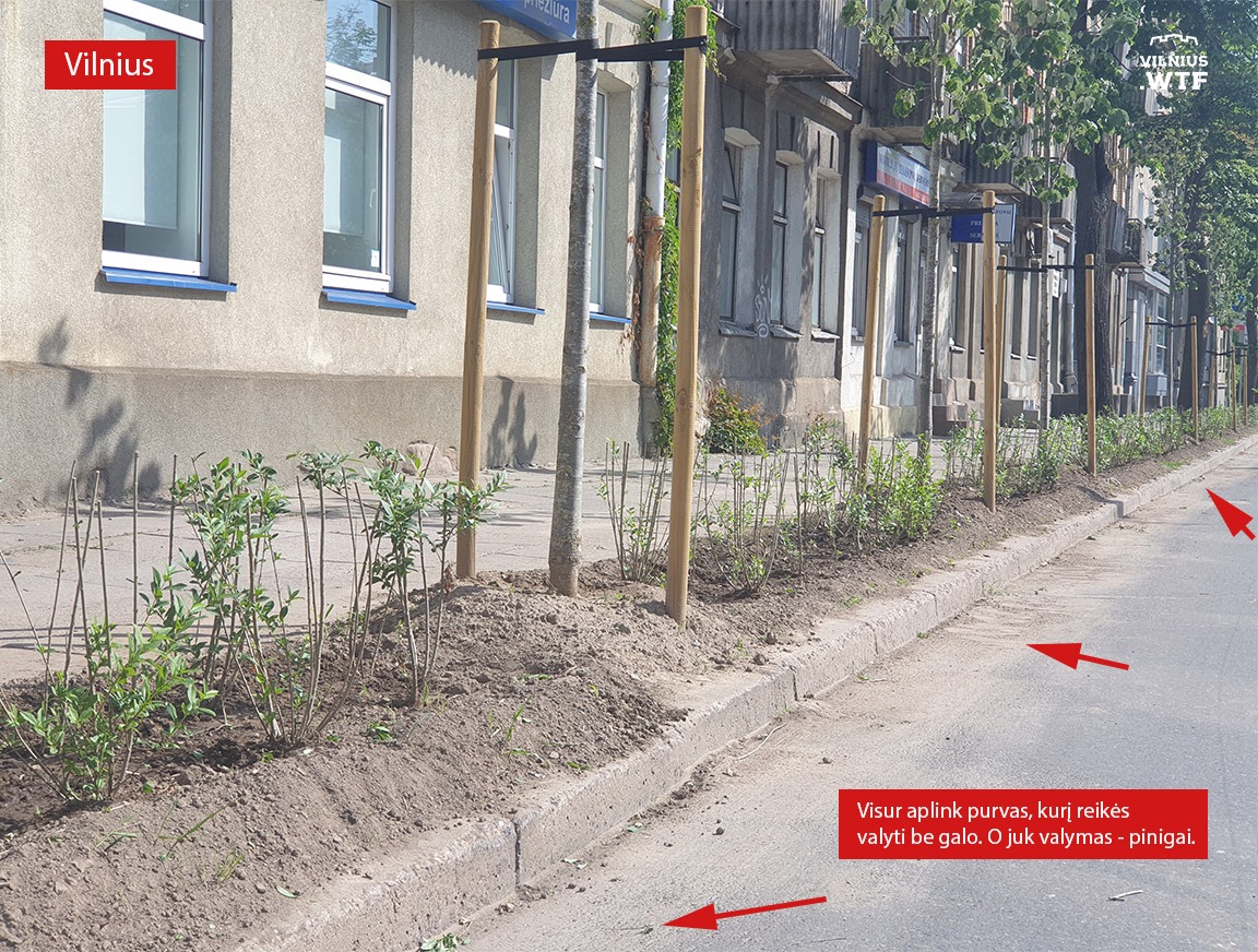 Visur aplink purvas, kurį reikės