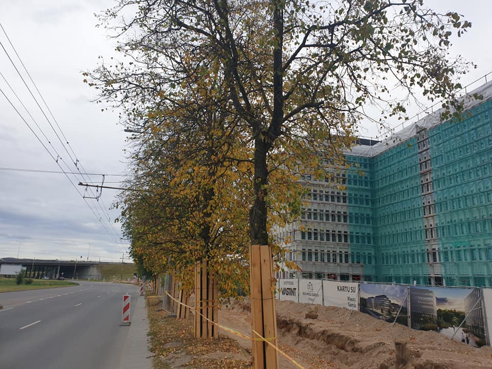 Medžiams prie Business Garden Laisvės pr. jau vėlyvas ruduo (nors aplinkiniai visiškai…