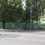 FYI Vilniaus centre žoles iš plytelių tarpų pjauna su trimeriais