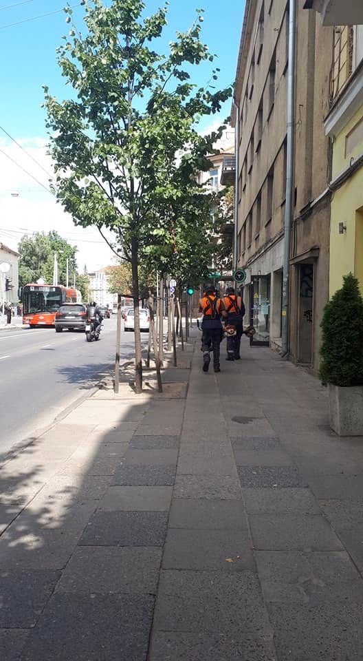 FYI Vilniaus centre žoles iš plytelių tarpų pjauna su trimeriais