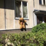 Nukryžiavimo paslaugos Naujamiestyje
