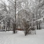 Nauji metai, o viskas po senovei