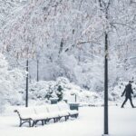 Vienas iš teigiamų pasikeitimų šiais metais - parkuose mažiau barstomi pėsčiųjų takai