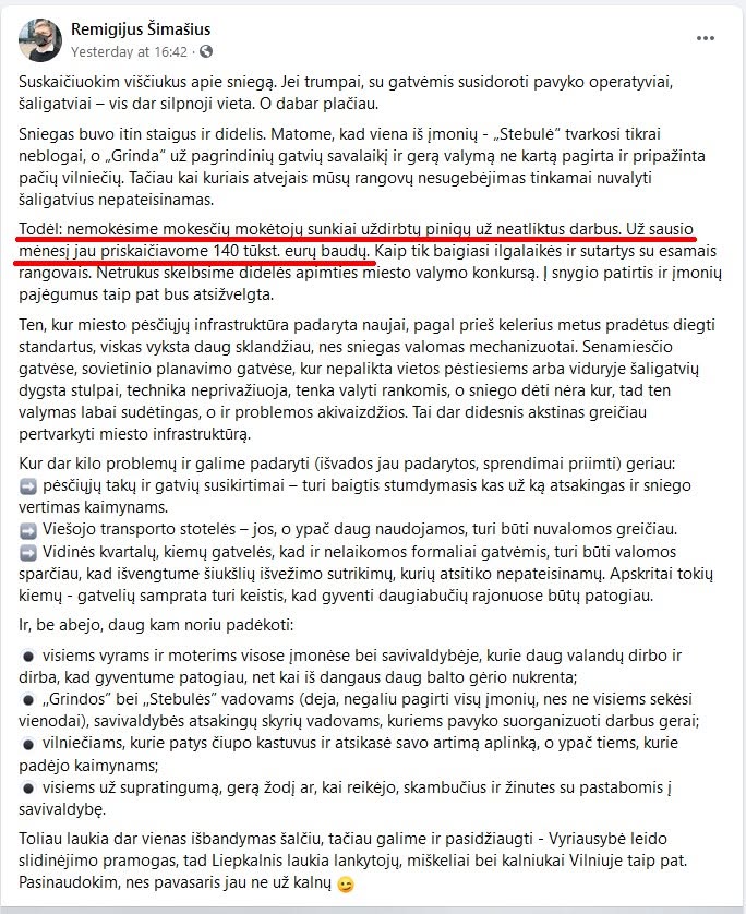 Suskaičiuokim viščiukus apie sniegą. Jei trumpai, su gatvėmis susidoroti pavyko…