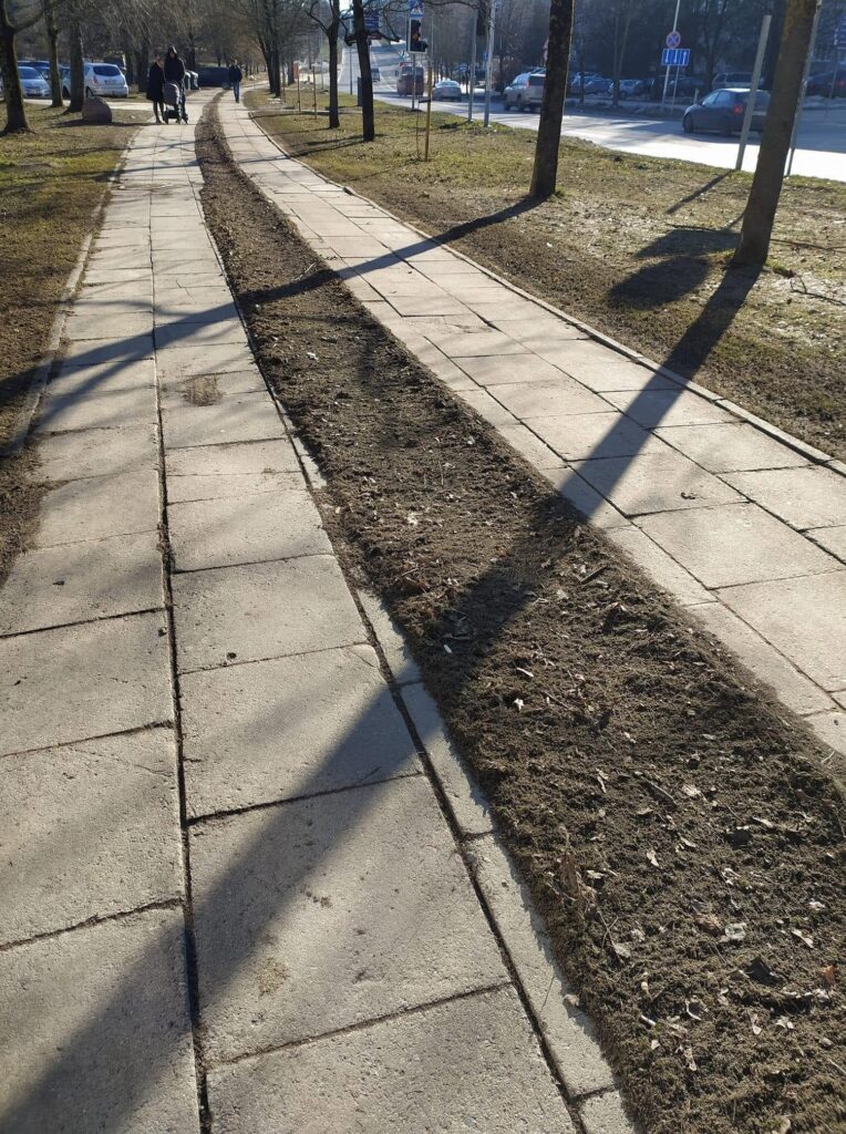 Antivirusinis šaligatvis Šeškinėje