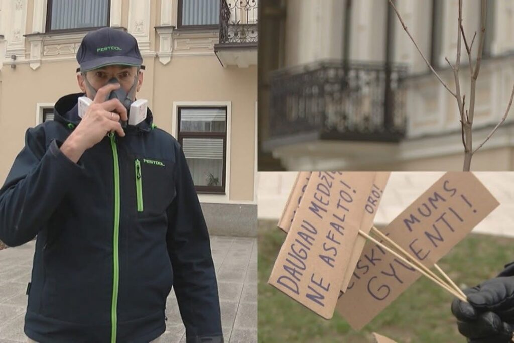 Panevėžyje nelegaliai pasodintas medelis menininkui gali atsieiti bauda iki 600 eurų