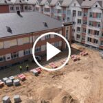 A. Ramanausko - Vanago gimnazijos prieigose iškirsta penkios dešimtys medžių