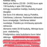 Naktį prie Seimo (22:00