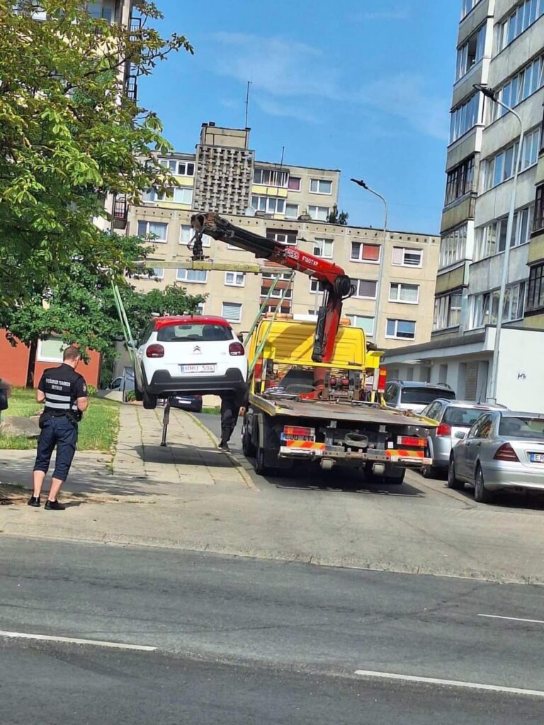 Pozityvus įrašas