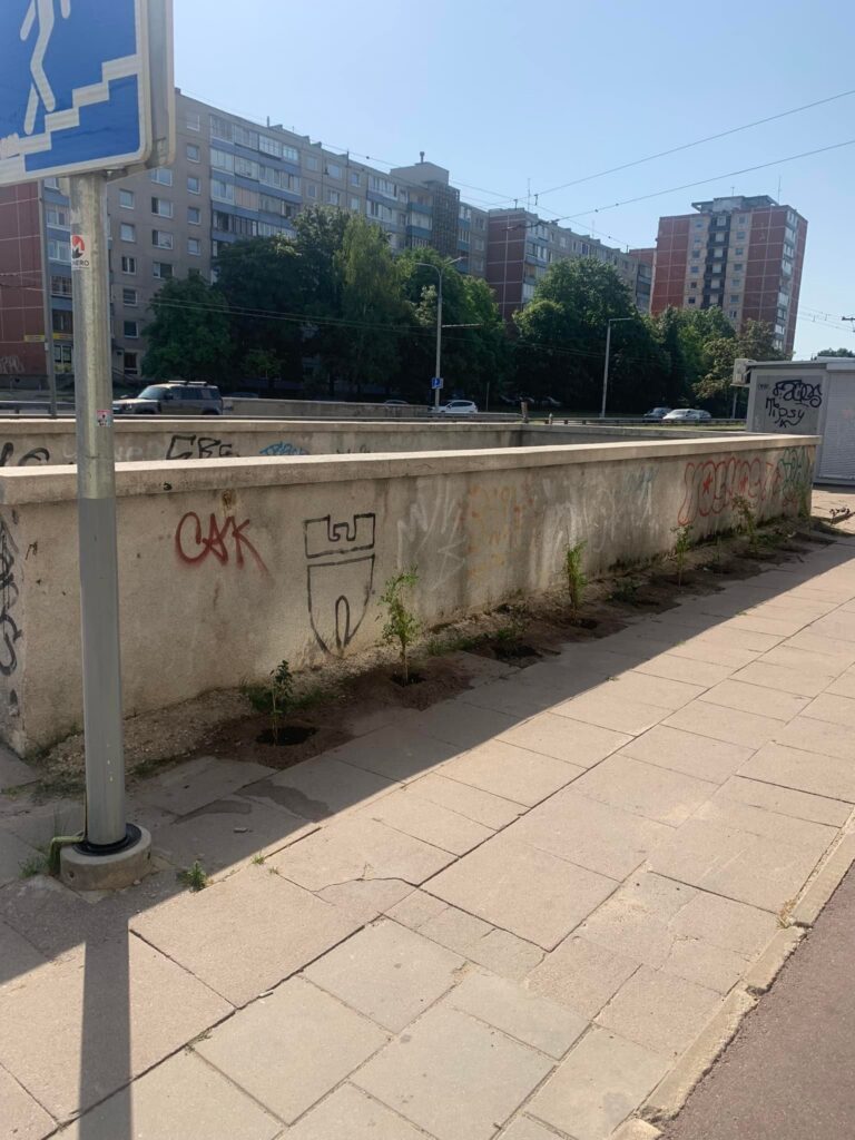 Na argi ne gražu 🤠 Ne?