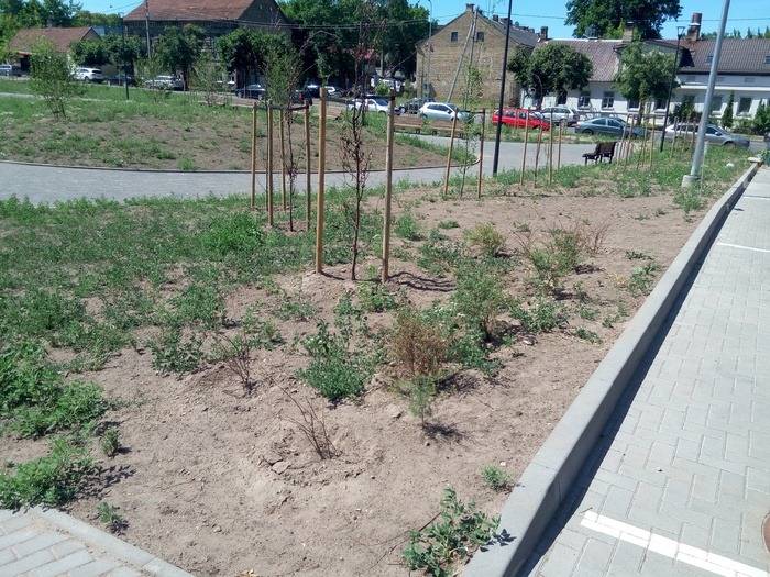 Naujasis skveras Algirdo gatvėje, susipažinkite