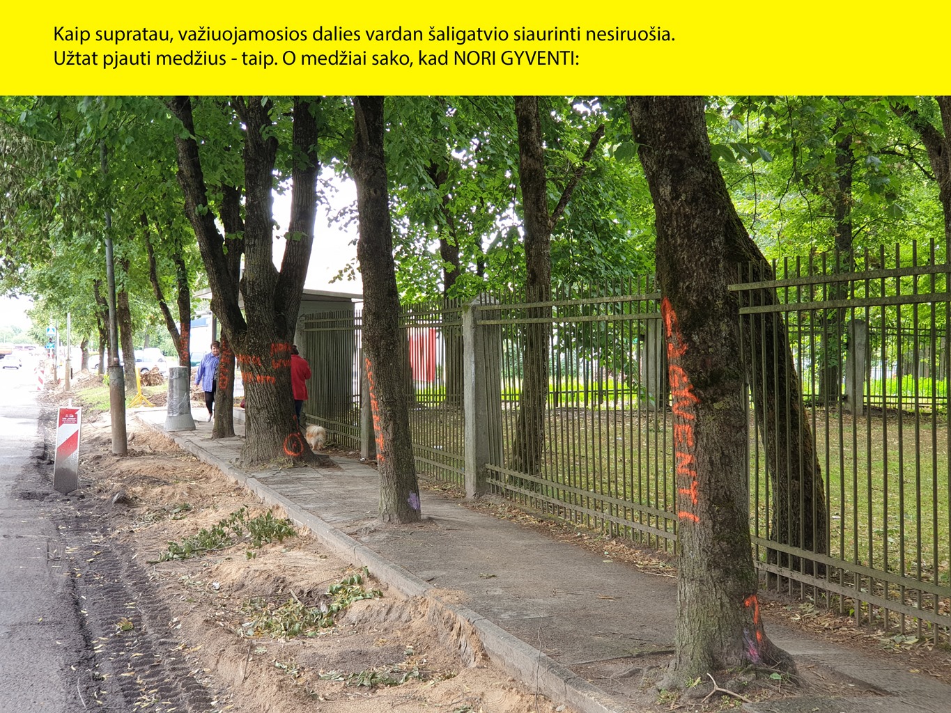 Kaip supratau; važiuojamosios dalies vardan šaligatvio siaurinti nesiruošia