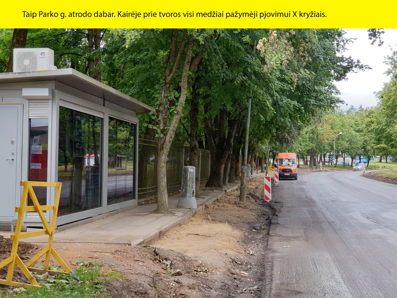 Taip Parko g. atrodo dabar. Kairėje prie tvoros visi medžiai pažymėji pjovimui X kryžiais