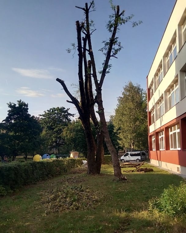 Ekspertų darbas!