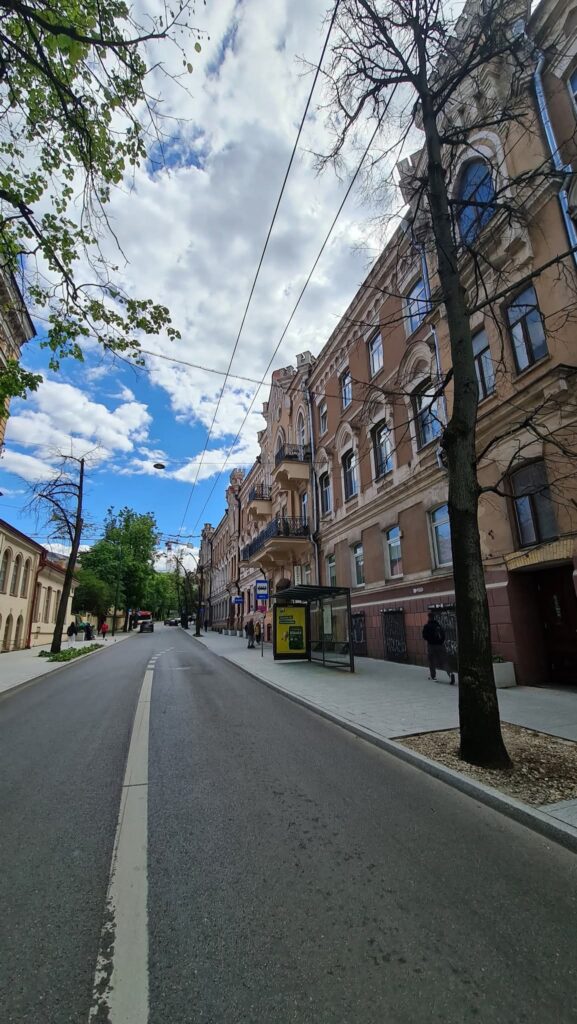 Asfaltą ir šaligatvį perklojo - 10 medžių mirė