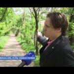 NERIMAS DĖL PUŠŲ VINGIO PARKE