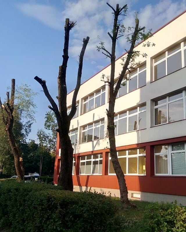 Ekspertų darbas!