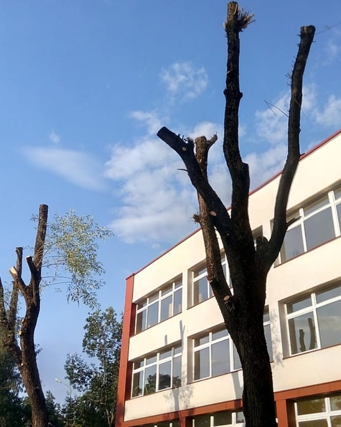 Ekspertų darbas!