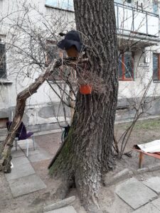 Koks grožis 😍