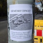 Skelbimas apie dingusį balandį ant stulpo Kęstučio gatvėje Žvėryne